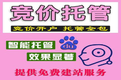 案例解析：SEM托管助力电商销售增长